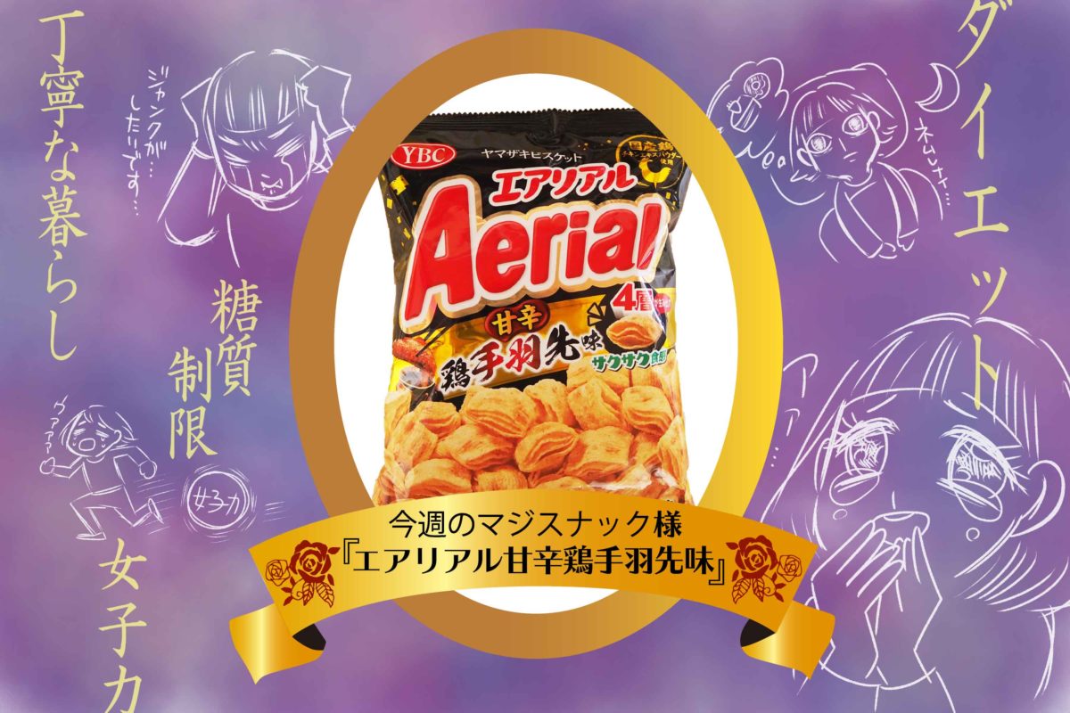 エアリアル から手羽先味が登場 軽い食感に重い味で混乱の旨さ の要約