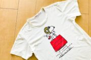 マツコも驚いた「Tシャツの襟がヨレなくなる方法」　100均でも買える“あるもの”で解決
